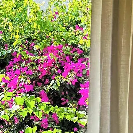 Alaca Butik Hotel Ciftlikkoyu